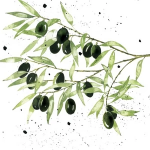 Szalvéta 33x33cm Olives 20db-os