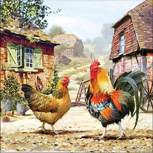 Szalvéta 33x33cm Rooster ranch 20db-os