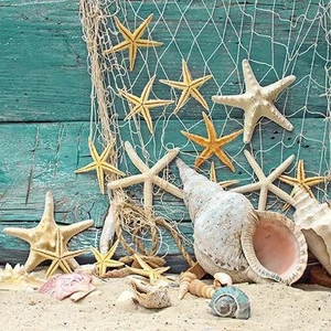 Szalvéta 33x33cm Starfish 20db-os