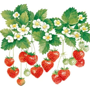 Szalvéta 33x33cm Summer Fruits 20db-os