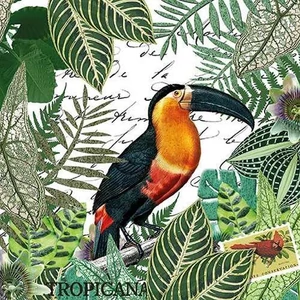 Szalvéta 33x33cm Tropicana 20db-os