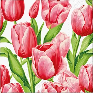 Szalvéta 33x33cm Tulip Time 20 db-os
