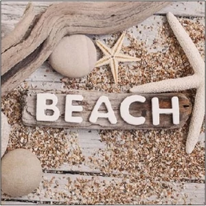 Szalvéta Ambiante Beach Wood papírszalvéta 25x25cm,15db-os