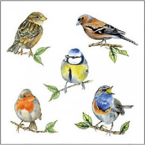 Szalvéta Ambiante Bird species white papírszalvéta 25x25cm,15db-os