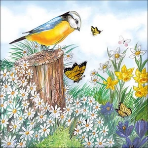 Szalvéta Ambiante Bird Watching papír papírszalvéta 33x33cm,20db-os