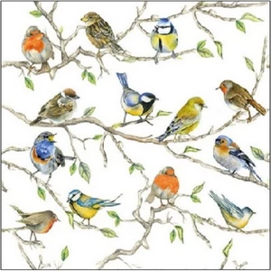 Szalvéta Ambiante Birds Meeting papírszalvéta 25x25cm,15db-os