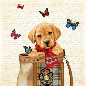 Szalvéta Ambiante Buddy papírszalvéta 33x33cm,20db-os