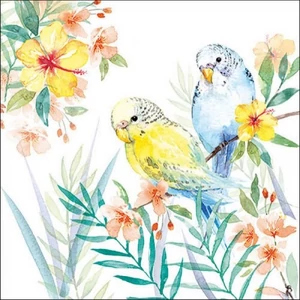 Szalvéta Ambiante Budgies Couple papír papírszalvéta 33x33cm,20db-os