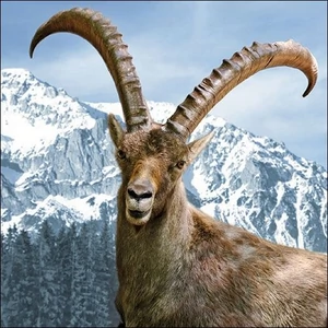 Szalvéta Ambiante Capra Ibex papír papírszalvéta 33x33cm,20db-os