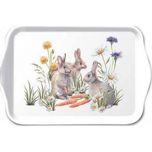 Szalvéta Ambiante Carrot treat műanyag kistálca 13x21cm