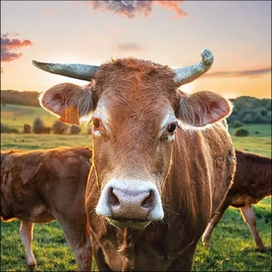 Szalvéta Ambiante Cow in Sunset papír papírszalvéta 33x33cm,20db-os