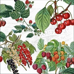 Szalvéta Ambiante Fresh Fruits papír papírszalvéta 33x33cm,20db-os