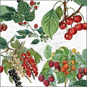 Szalvéta Ambiante Fresh Fruits papírszalvéta 25x25cm,15db-os