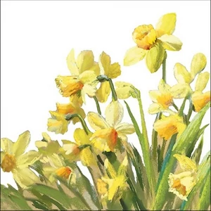 Szalvéta Ambiante Godl en Daffodils papír papírszalvéta 33x33cm,20db-os