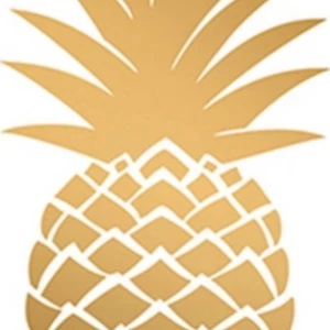 Szalvéta Ambiante Godl en Pineapple papírszalvéta 25x25cm,15db-os
