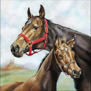 Szalvéta Ambiante Horse Love papírszalvéta 33x33cm,20db-os