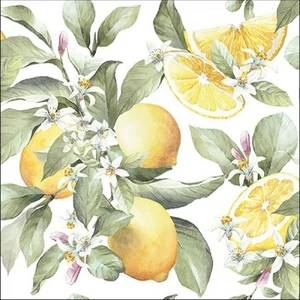 Szalvéta Ambiante Limoni papírszalvéta 33x33cm,20db-os