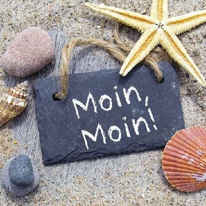 Szalvéta Ambiante Moin Moin papírszalvéta 33x33cm,20db-os