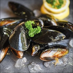 Szalvéta Ambiante Mussels papírszalvéta 33x33cm,20db-os