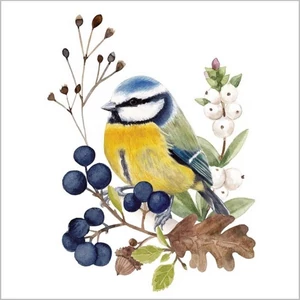 Szalvéta Ambiante Oiseau en Nature papírszalvéta 33x33cm,20db-os