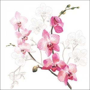 Szalvéta Ambiante Orchid papírszalvéta 33x33cm,20db-os
