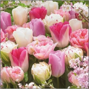 Szalvéta Ambiante Pink Tulips papírszalvéta 25x25cm,15db-os