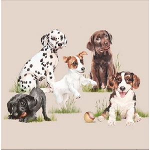 Szalvéta Ambiante Playing puppies papírszalvéta 25x25cm,20db-os