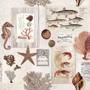Szalvéta Ambiante Sepia Sea cream papírszalvéta 33x33cm,20db-os