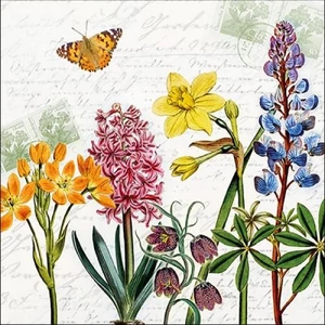 Szalvéta Ambiante Spring Flowers papírszalvéta 33x33cm,20db-os