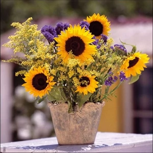 Szalvéta Ambiante Sunflower Bouquet papírszalvéta 33x33cm,20db-os