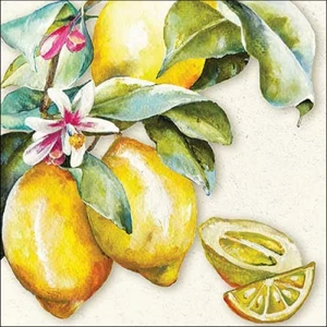 Szalvéta Ambiante Sunny lemon papírszalvéta 33x33cm,20db-os