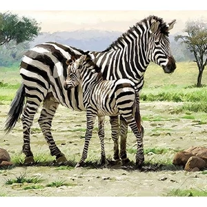 Szalvéta Ambiante Zebras papírszalvéta 33x33cm,20db-os