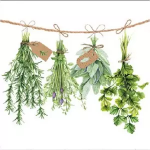 Szalvéta Ambiente 25x25cm Fresh Herbs 20db-os