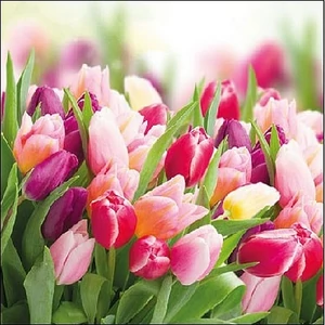 Szalvéta Ambiante Glorious Tulips papírszalvéta 25x25cm,15db-os