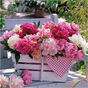 Szalvéta Ambiante Peonies In Basket papírszalvéta 33x33cm,20db-os