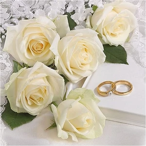Szalvéta Ambiente 33x33cm White Wedding, 3rétegű 20db/csomag