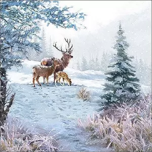 Szalvéta Ambiente Deer Family 33x33cm, 3rétegű, 20db/csomag 33310565 Karácsonyi szalvéta.