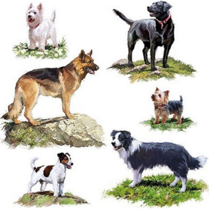 Szalvéta Ambiente Dogs 33x33cm, 3rétegű, 20db/csomag 13311580 szalvéta.