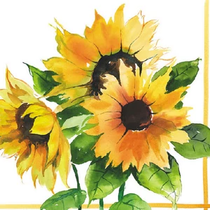 Szalvéta Ambiente Girasoli papírszalvéta dombornyomott 33x33cm, 3rétegű 20db/csomag