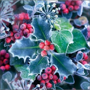 Szalvéta Ambiante Frozen Holly papír papírszalvéta 25x25cm,15db-os