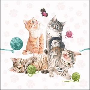 Szalvéta Ambiante Playing Kitten papírszalvéta 33x33cm,20db-os