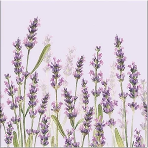 Szalvéta Ambiante levendulás Lavender Shade lila papírszalvéta 33x33cm,20db-os