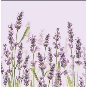 Szalvéta Ambiente Lavender Shades lila 25x25cm,20db-os