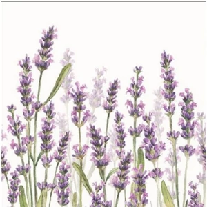 Szalvéta Ambiante Lavender Shades white papírszalvéta 25x25cm,15db-os