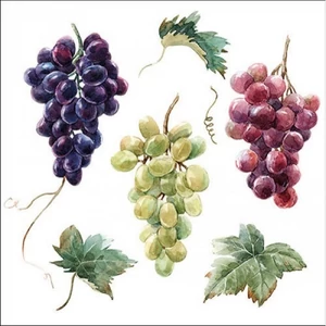 Szalvéta Ambiante Wine grapes papírszalvéta 33x33cm,20db-os