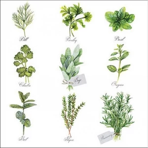 Szalvéta Ambiante Herb selection papír papírszalvéta 33x33cm,20db-os