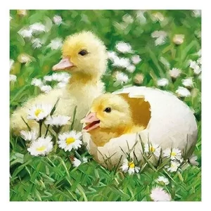 Szalvéta Ambiante spring Newborn Chicks papírszalvéta 33x33cm,20db-os