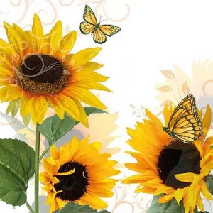 Szalvéta Ambiente Sunny Butterfly 33x33cm, 3rétegű, 20db/csomag 13310115 szalvéta.