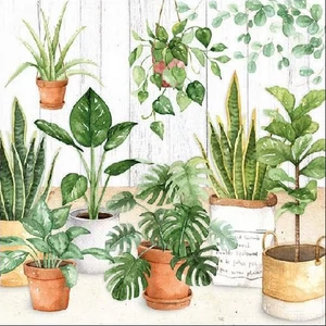 Szalvéta Ambiente Urban Jungle 33x33cm 3rétegű 20db/csomag 13313260 szalvéta.