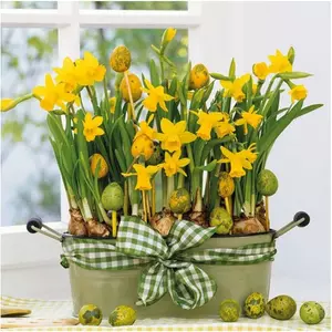 Szalvéta Ambiente virágos 33x33cm 20db/csomag 3rétegű Daffodils